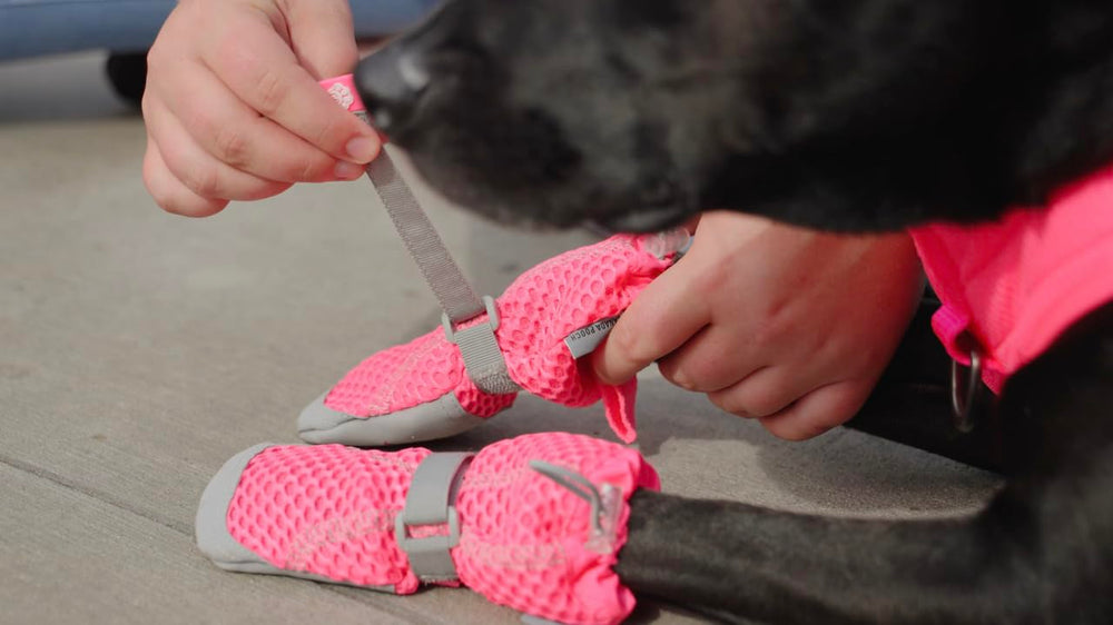 Utilisation extérieure polyvalente des bottes Canada Pooch pour chiens.