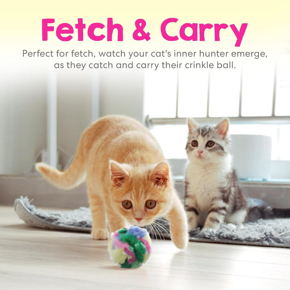 Boule crinkle Cancor Innovations sans aretes, sûre pour jeux quotidiens