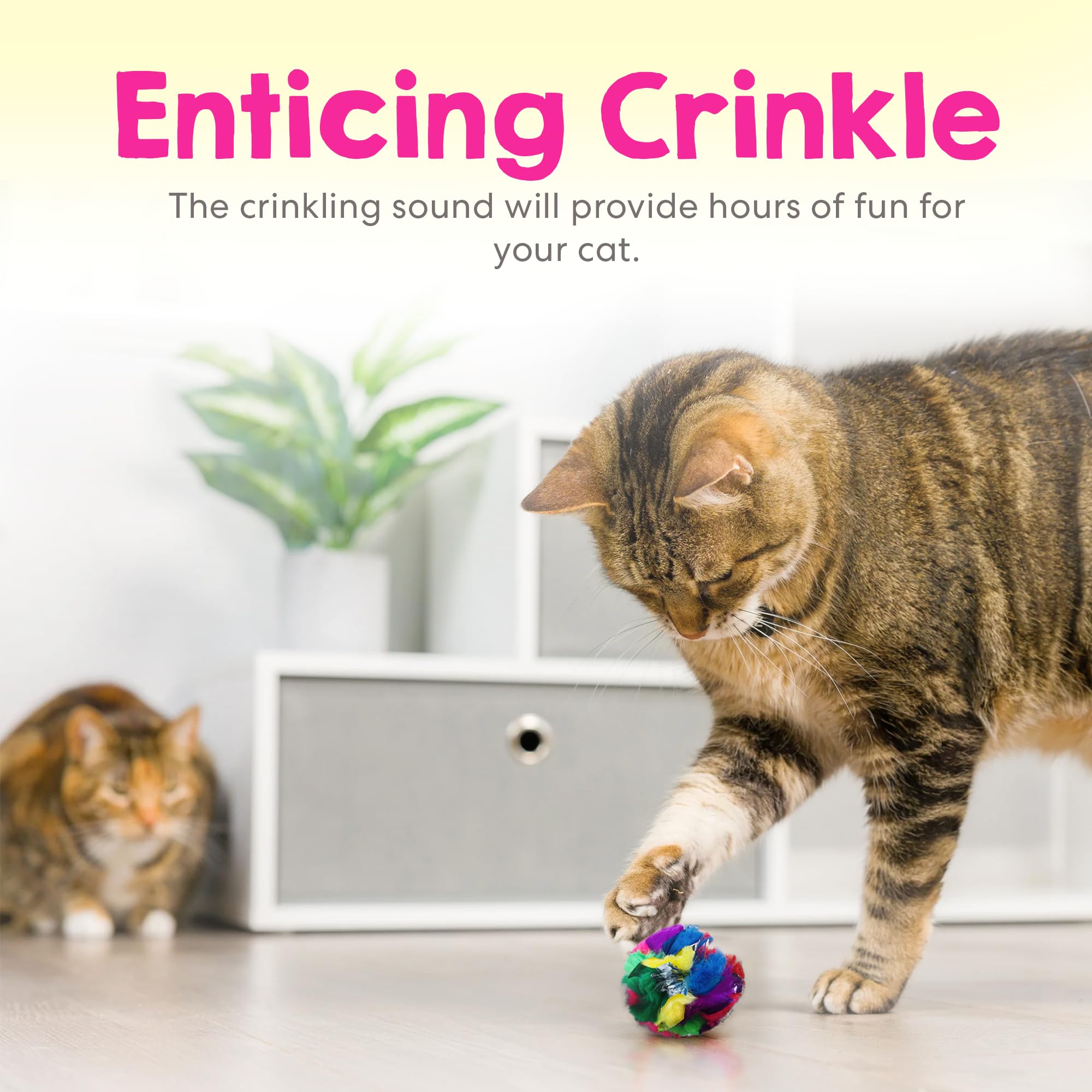 Lot de 4 boules Cancor Innovations pour chats, jeux variés.