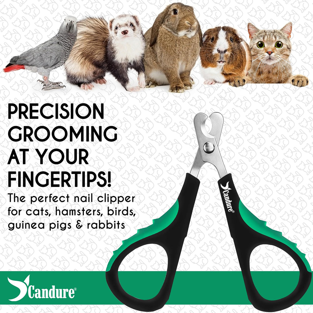 Candure coffret cadeau ongles chat prêt à offrir