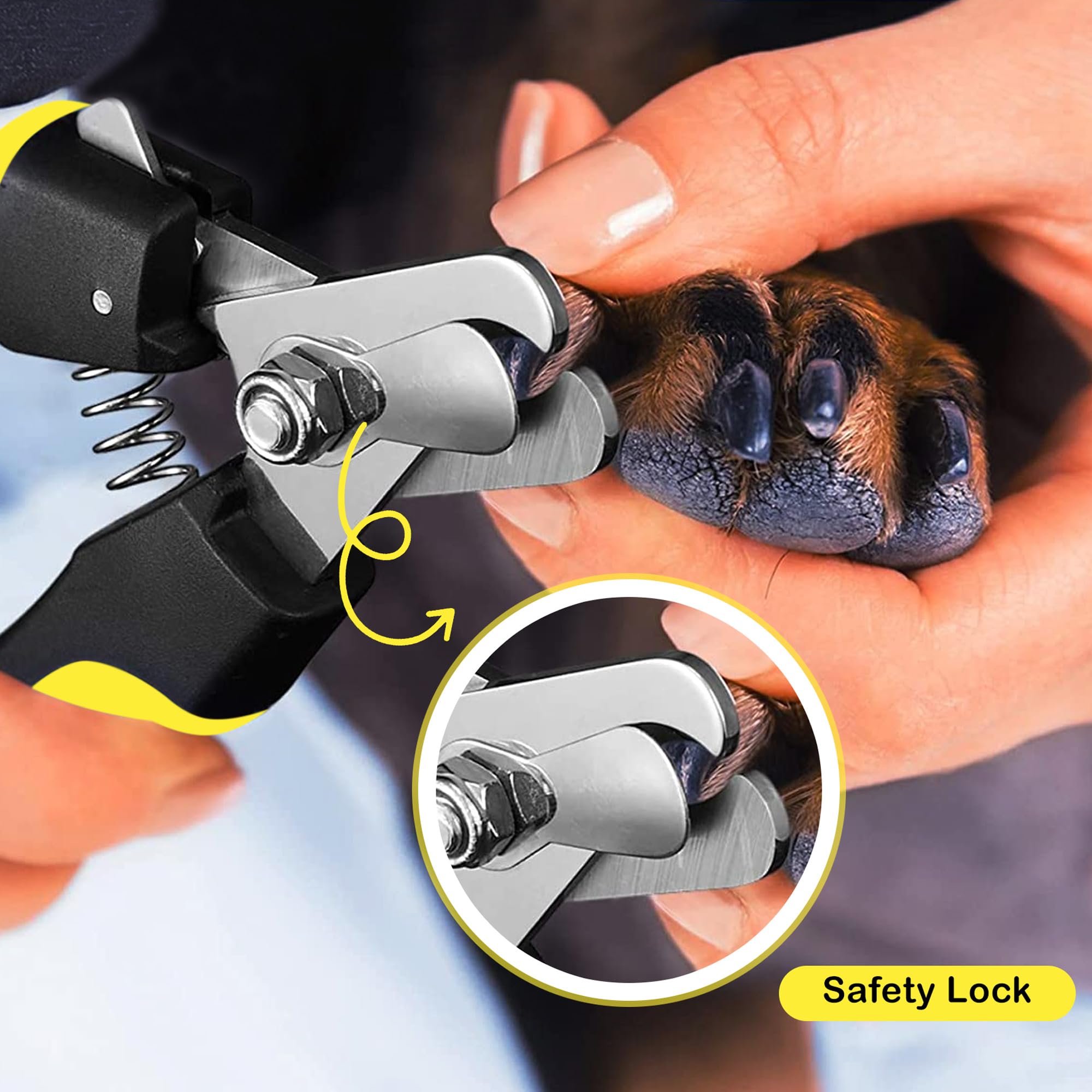 Candure coupe-ongles chien rapide et efficace pour routine de toilettage.