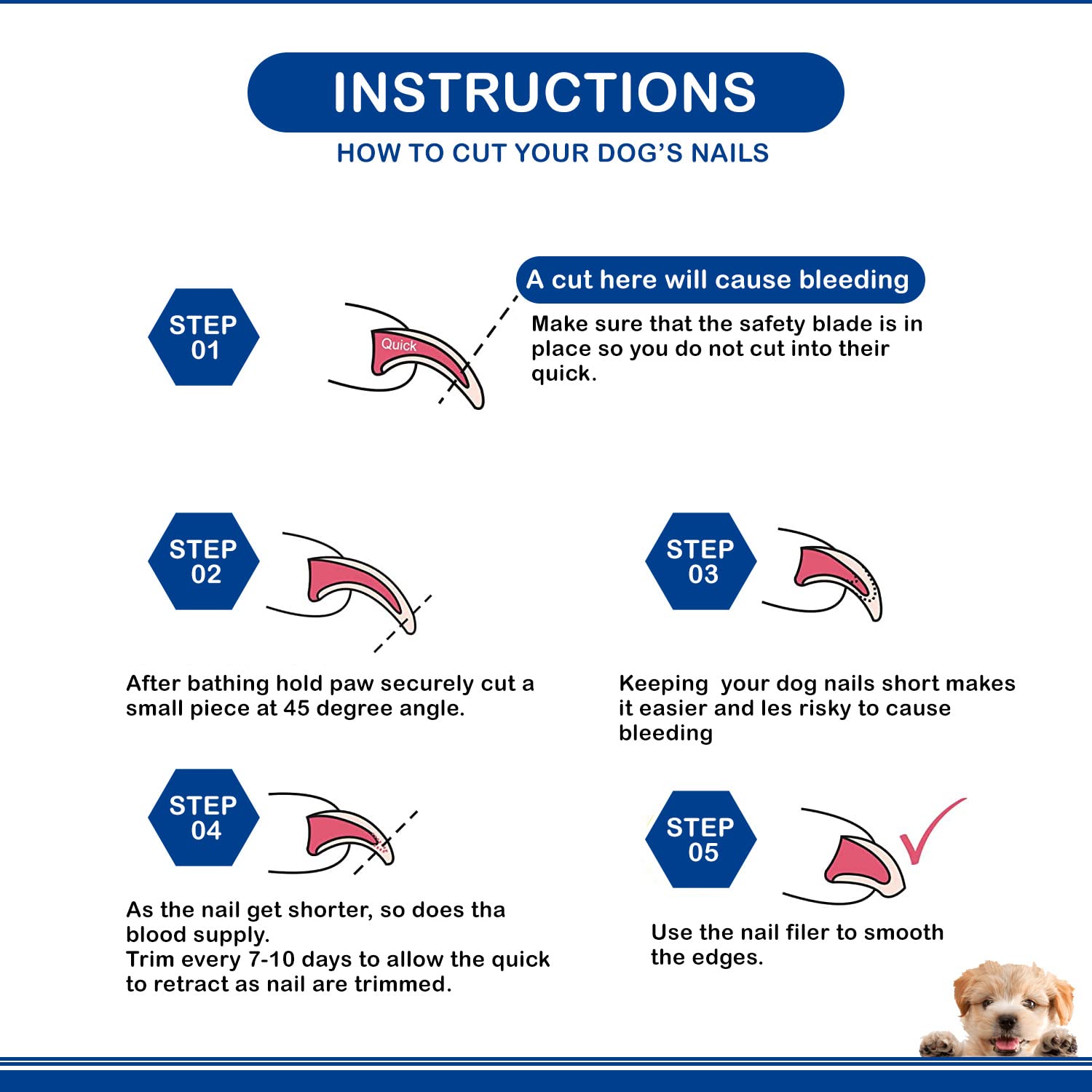 Candure coupe-ongles chien usage rapide dans la routine de toilettage.