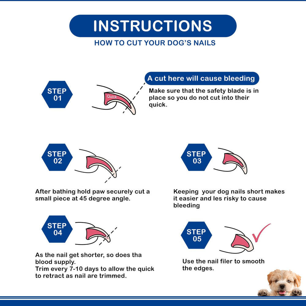 Candure coupe-ongles chien usage rapide dans la routine de toilettage.