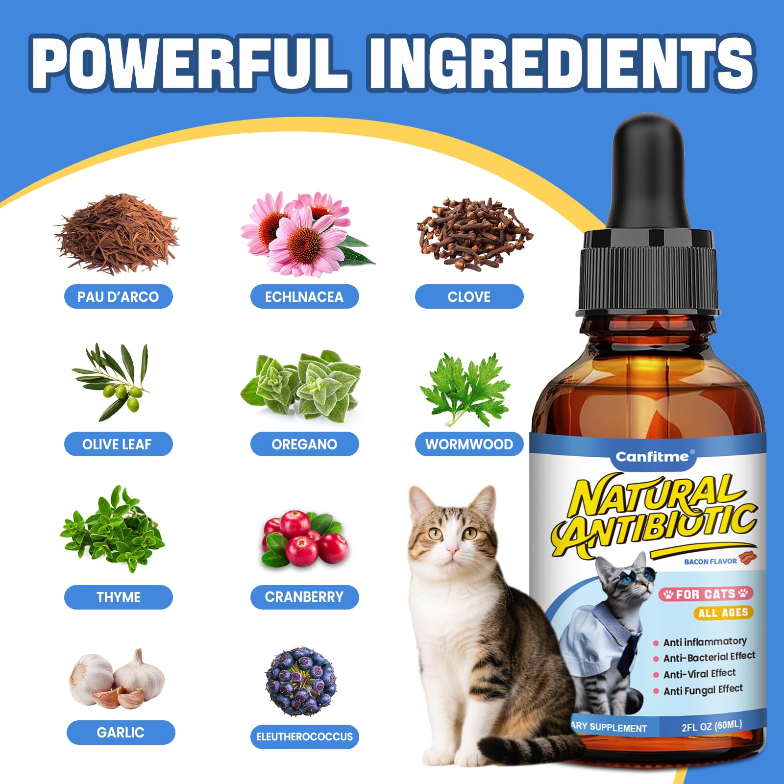 Canfitme Antibitics pour chats — dosage facile intégré à l’alimentation quotidienne.