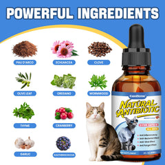 Canfitme Antibitics pour chats — dosage facile intégré à l’alimentation quotidienne.