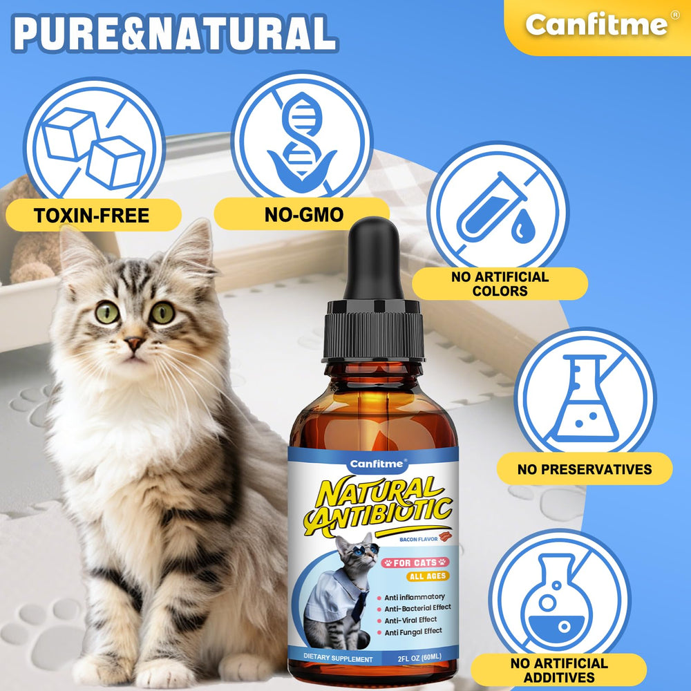 Canfitme Antibitics pour chats — forme liquide, absorption rapide après ingestion.