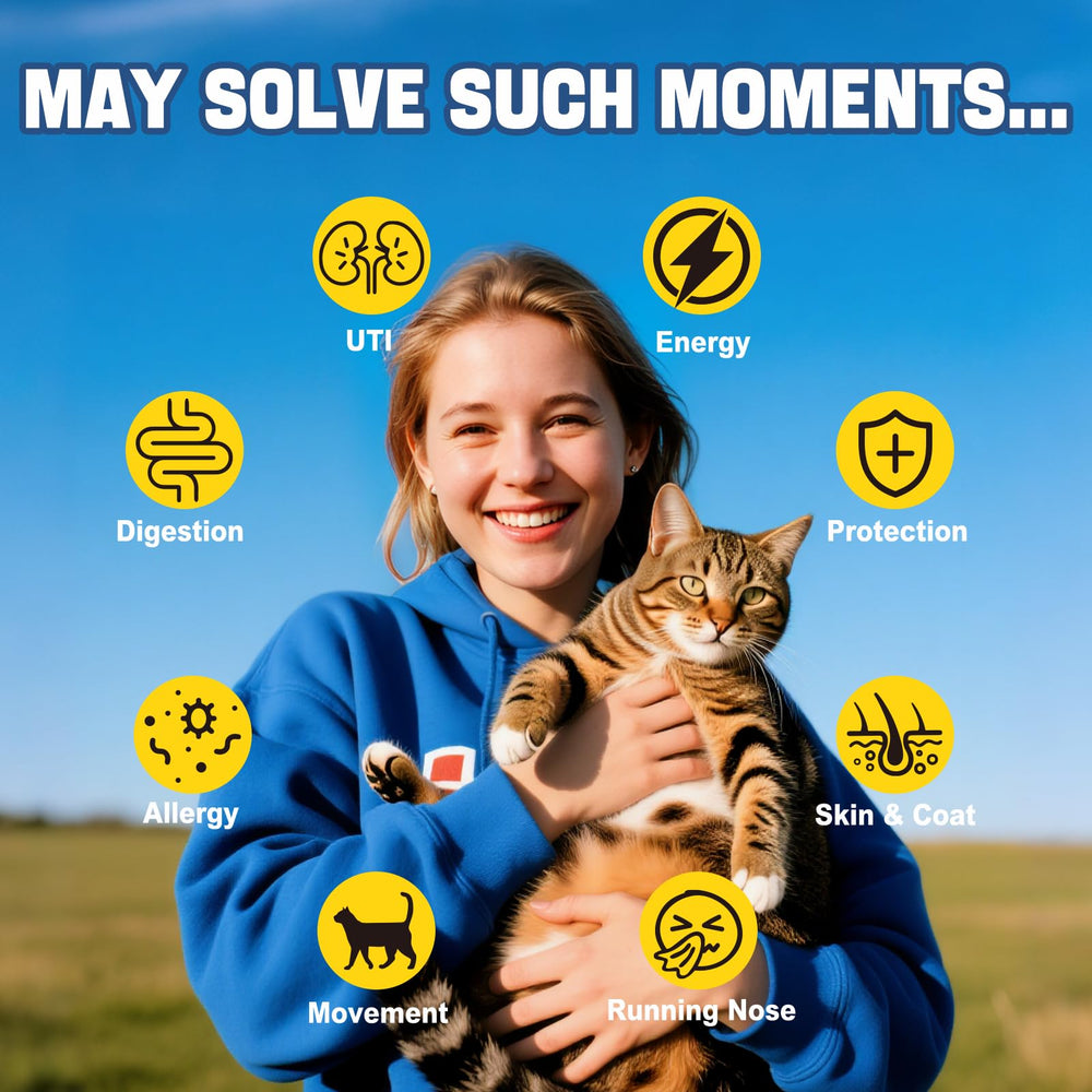 Canfitme Antibitics pour chats — administration quotidienne sans stress pour vous et votre chat.