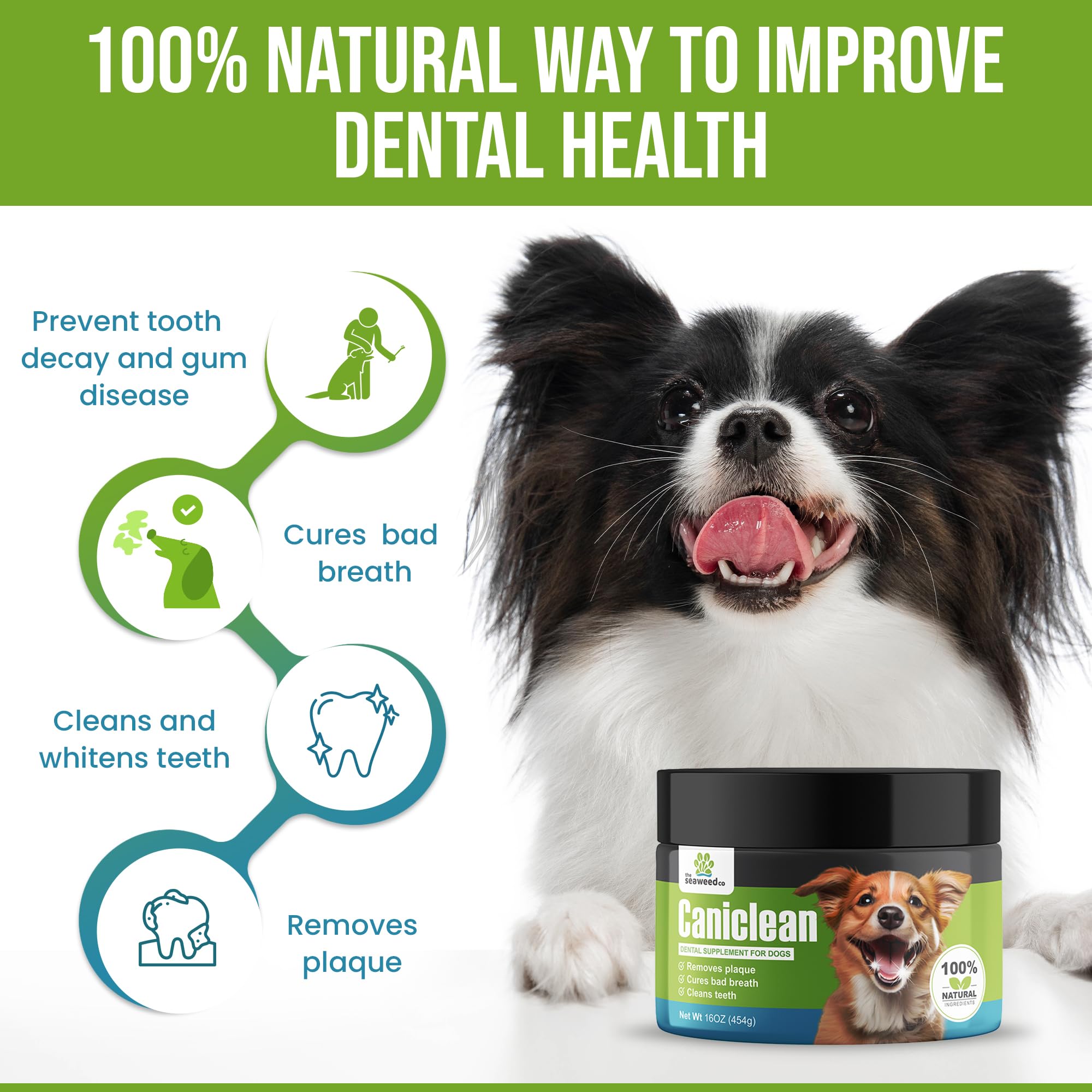 Caniclean poudre-dents-chien-ajoutee-repas: dosage rapide pour routine quotidienne.