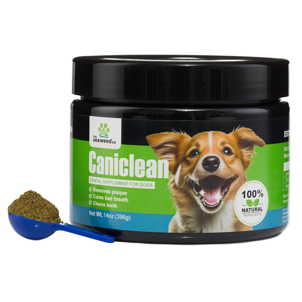 Caniclean qualite-ingredients-algue-marine-dent-chien: algue marine de haute qualité pour la bouche.