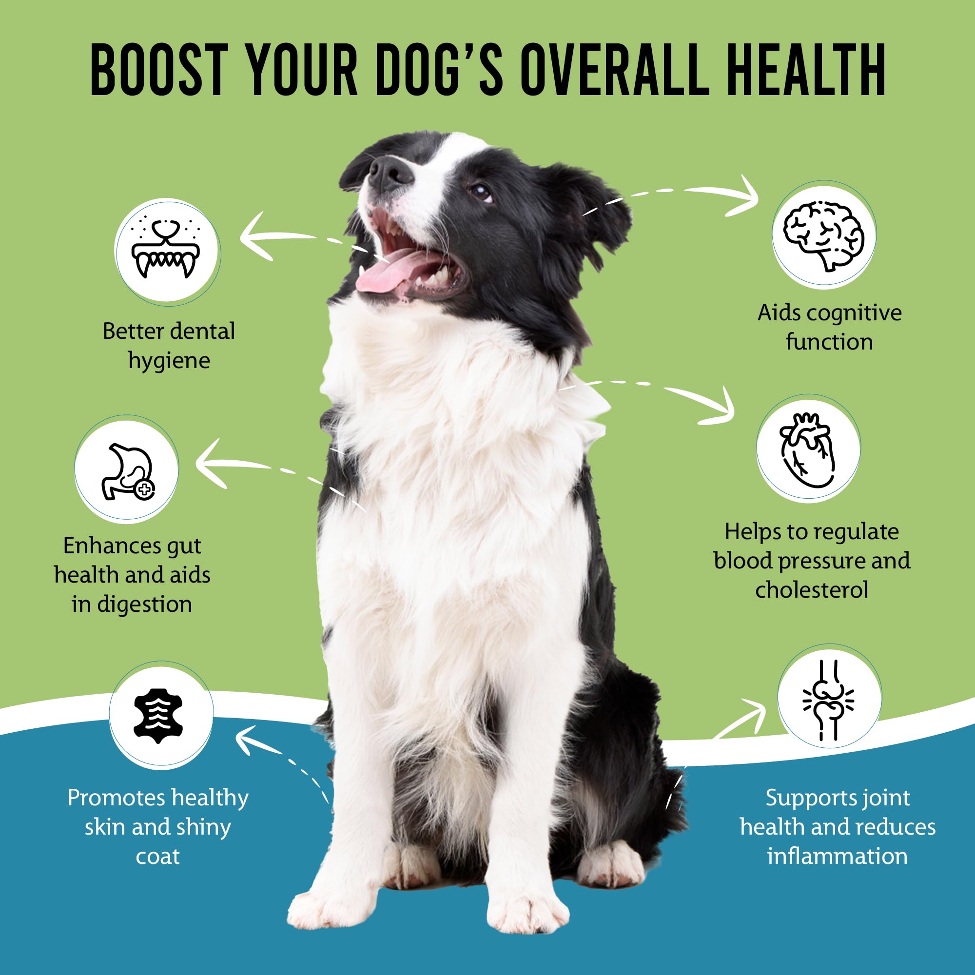 Caniclean usage-quotidien-dents-chien: intégration facile dans les repas quotidiens.
