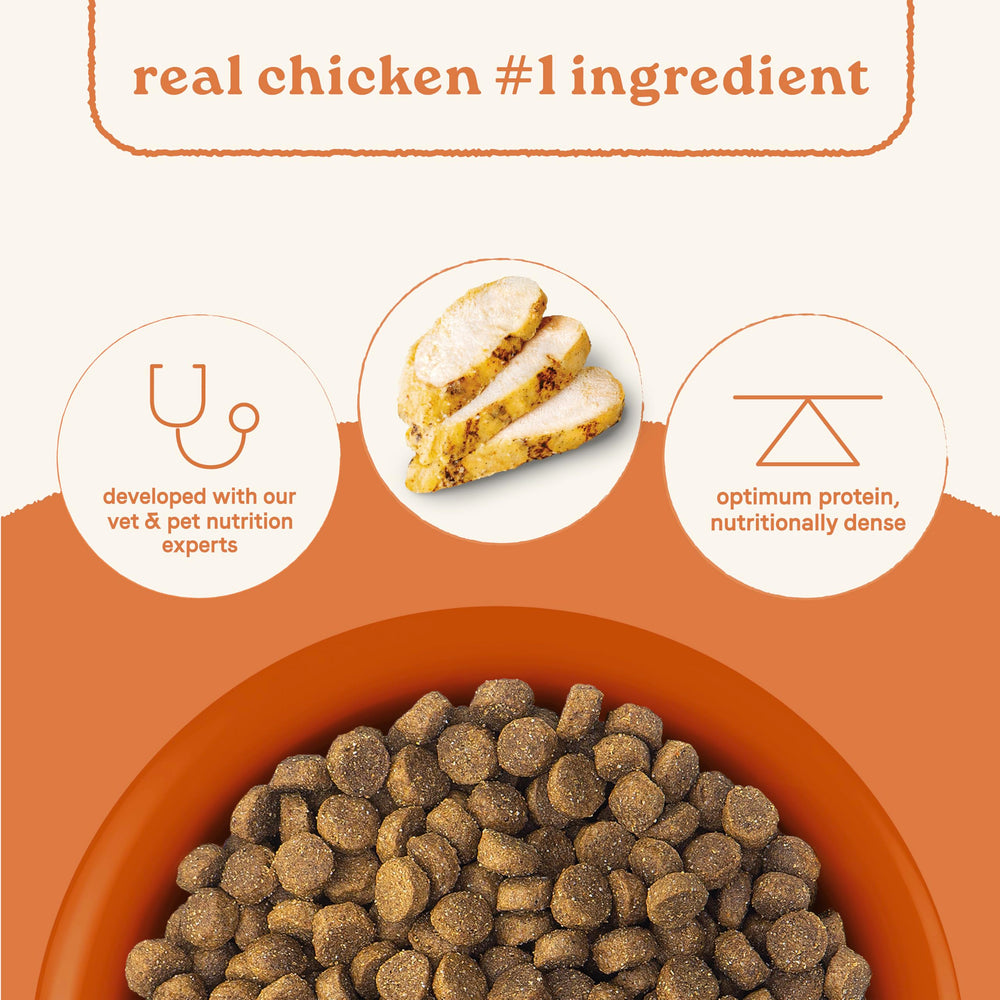 CANIDAE All Life Stages - bol-repas prêt à servir pour votre chien