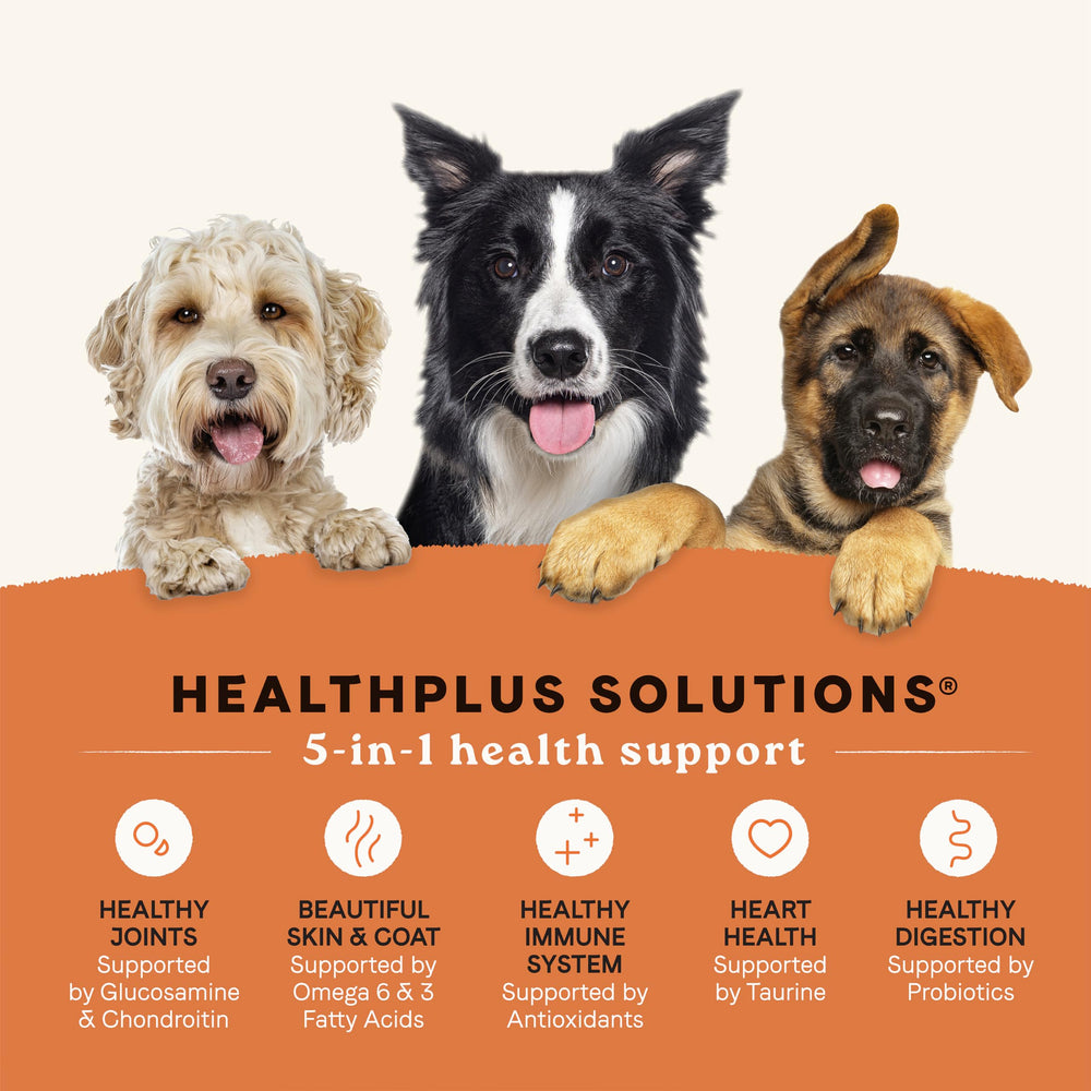 CANIDAE All Life Stages – croquettes au saumon réel, protéines digestibles