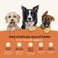 CANIDAE All Life Stages – croquettes au saumon réel, protéines digestibles