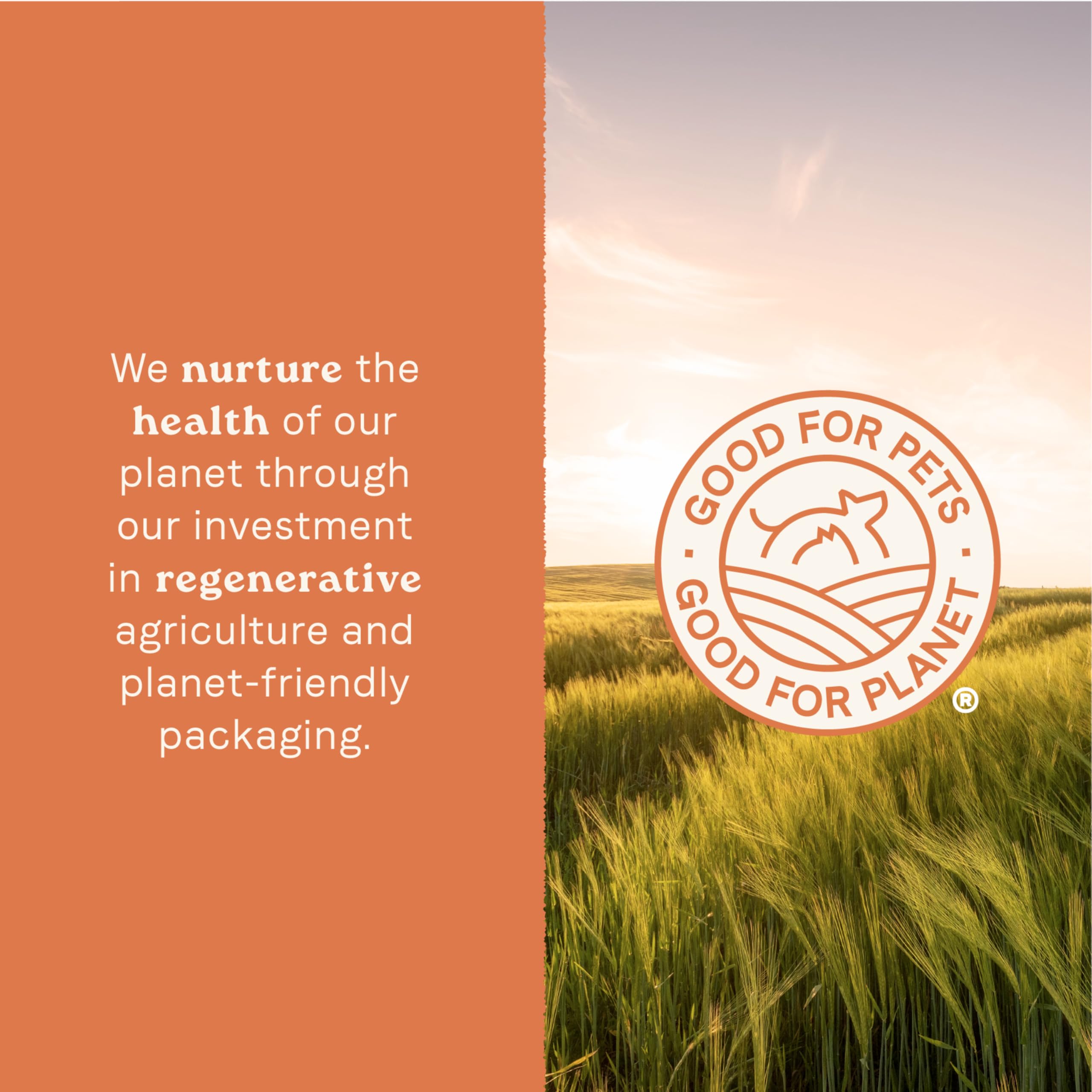 Canidae – toutes les étapes de vie, soutien digestif et immunitaire avec protéines premium.