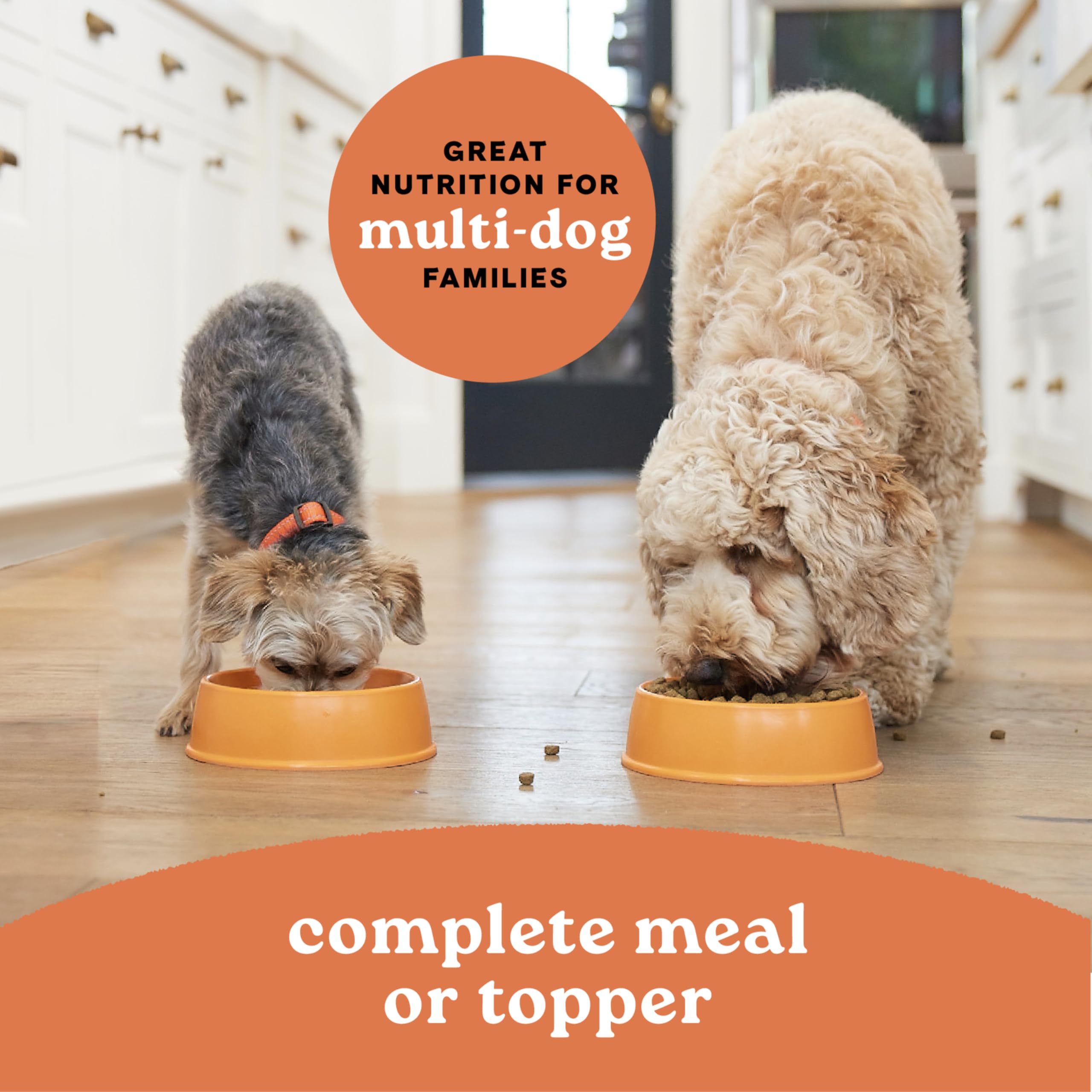 Canidae – toutes les étapes de vie, nutrition complète pour tous les âges et races.