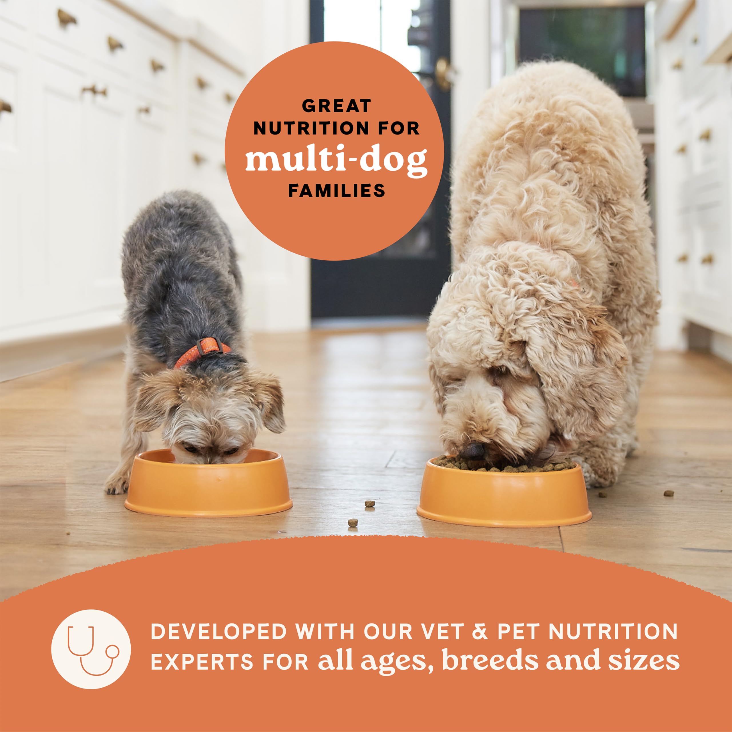 CANIDAE All Life Stages - probiotiques pour digestion saine et équilibre