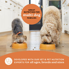 CANIDAE All Life Stages - probiotiques pour digestion saine et équilibre