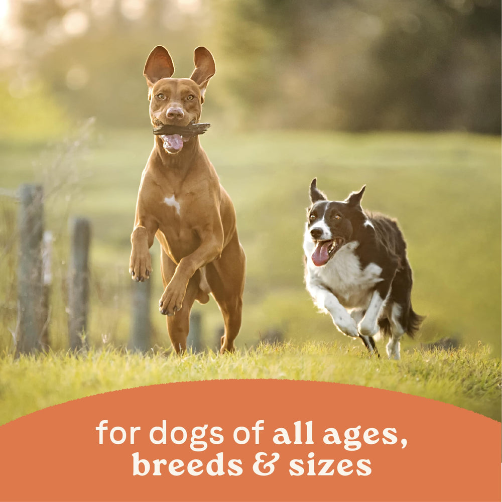 Canidae – toutes les étapes de vie, pelage et peau sains grâce à la formulation.
