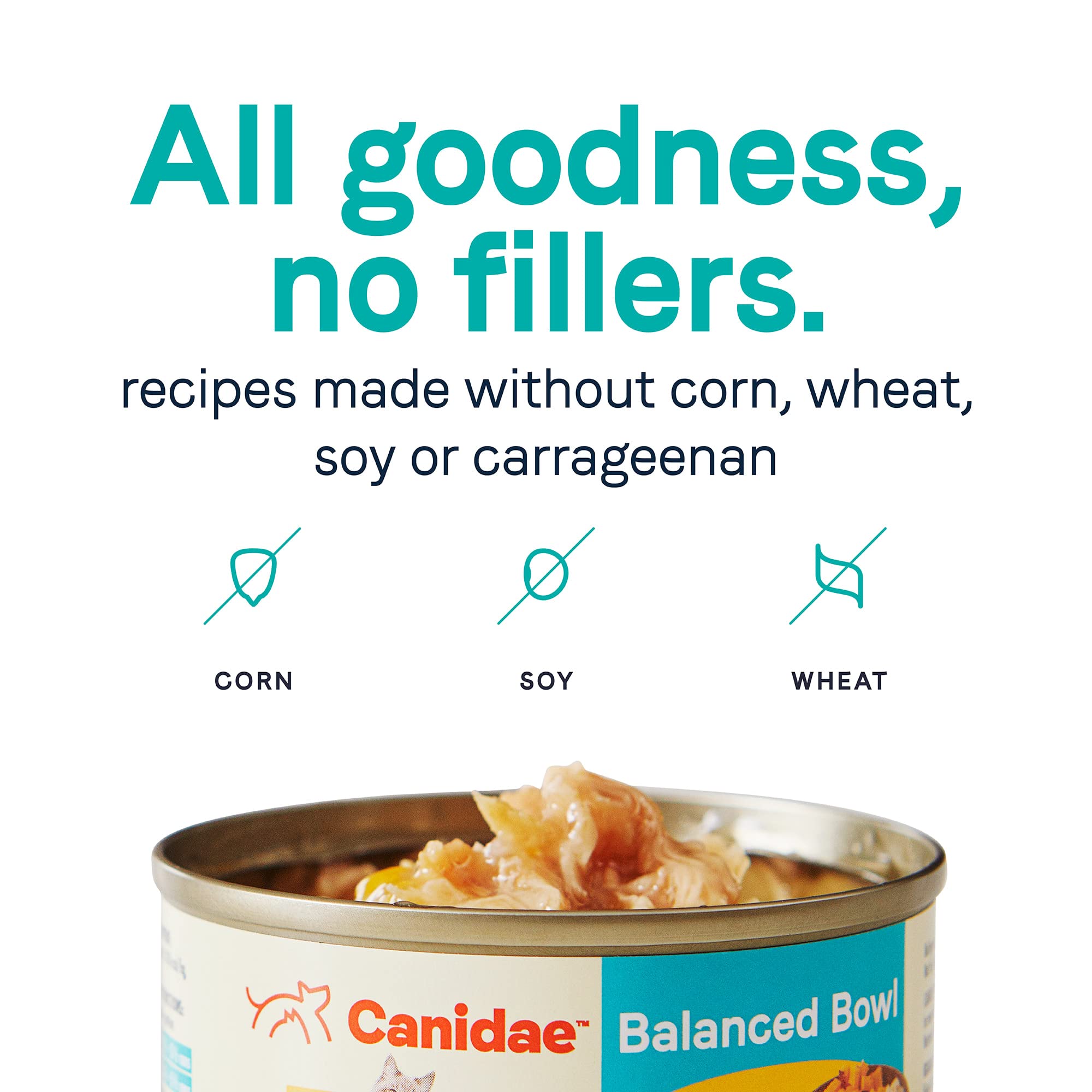 CANIDAE Balanced Bowl - bol prêt à servir pour chat adulte, pratique et nutritif.