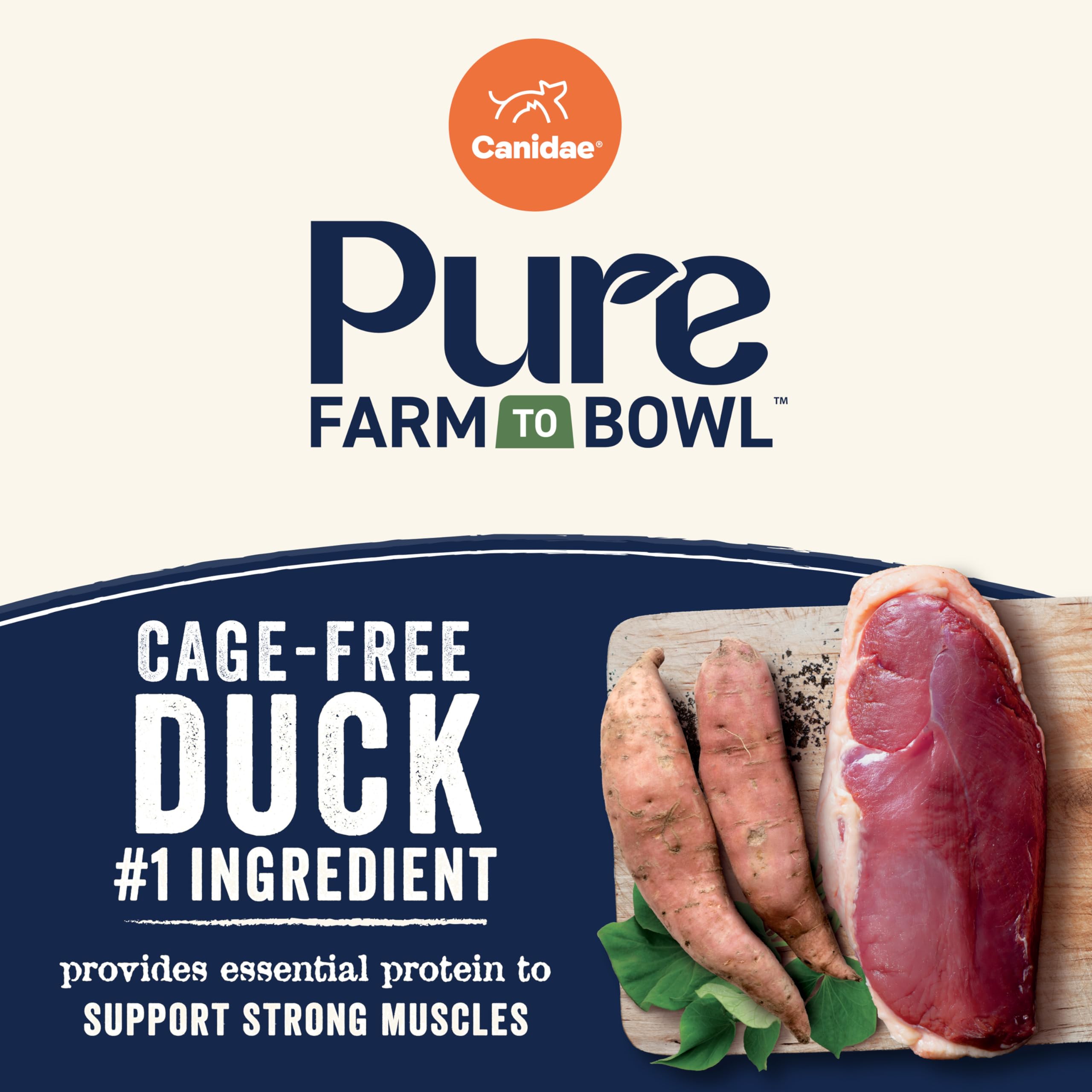 CANIDAE – contrôle qualité des lots pour une alimentation fiable.