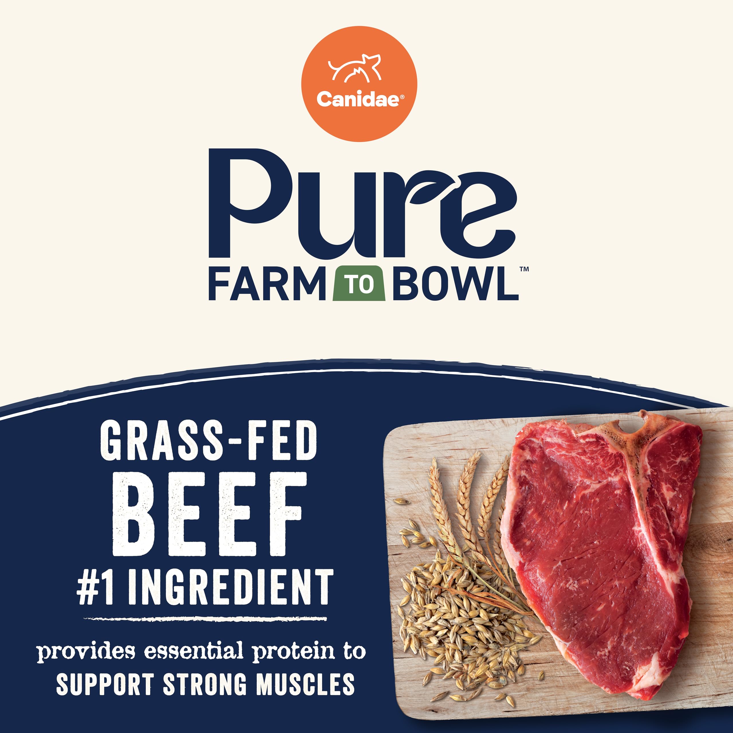 CANIDAE Pure 10 ingrédients sans maïs, formule simple pour chien.