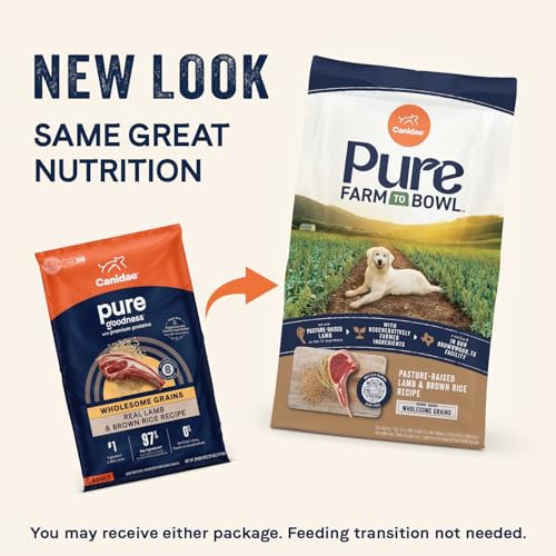 CANIDAE Pure – agneau élevé en pâturage, ingrédient principal.