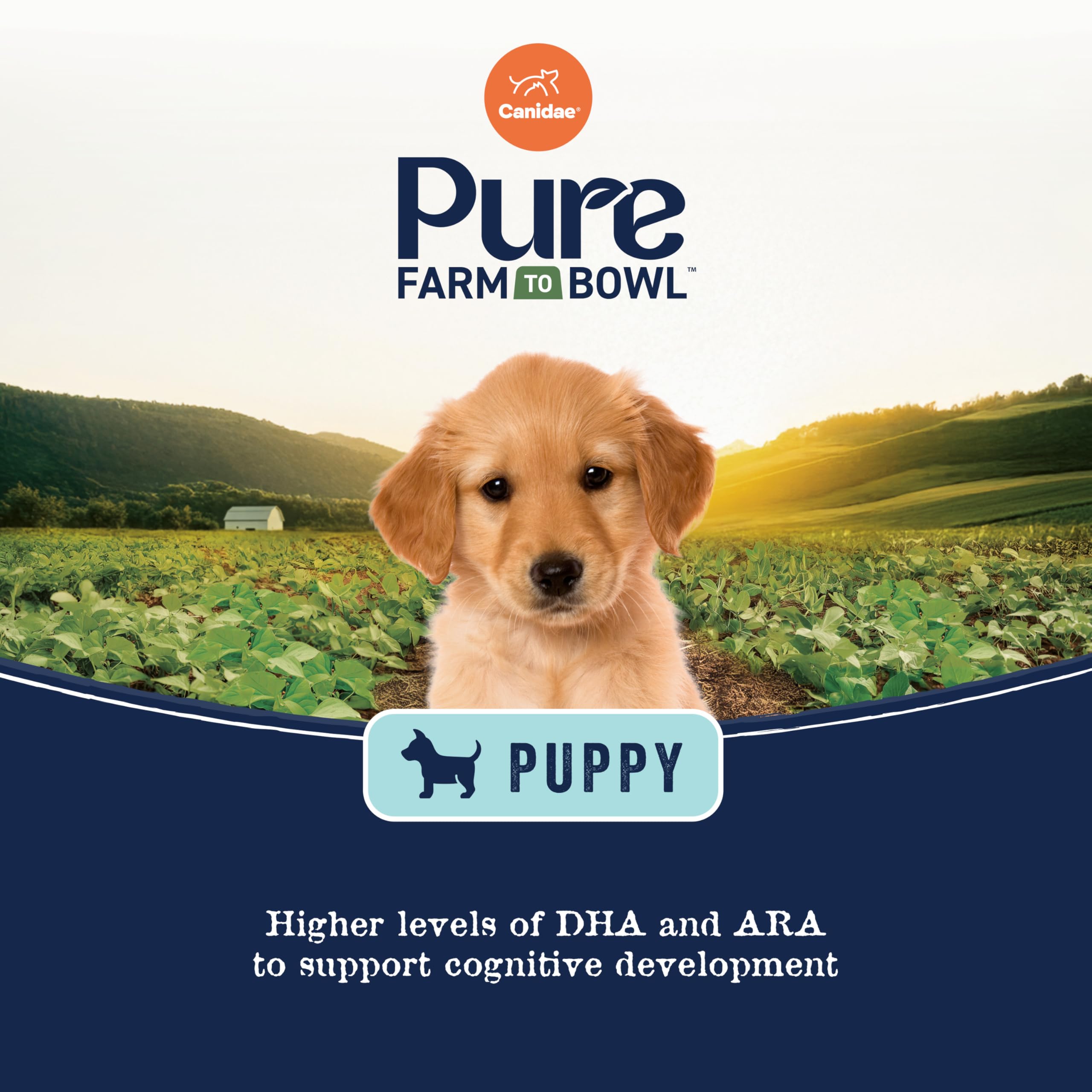 CANIDAE Pure Avoine Orge Sorgho – énergie durable pour chiots.