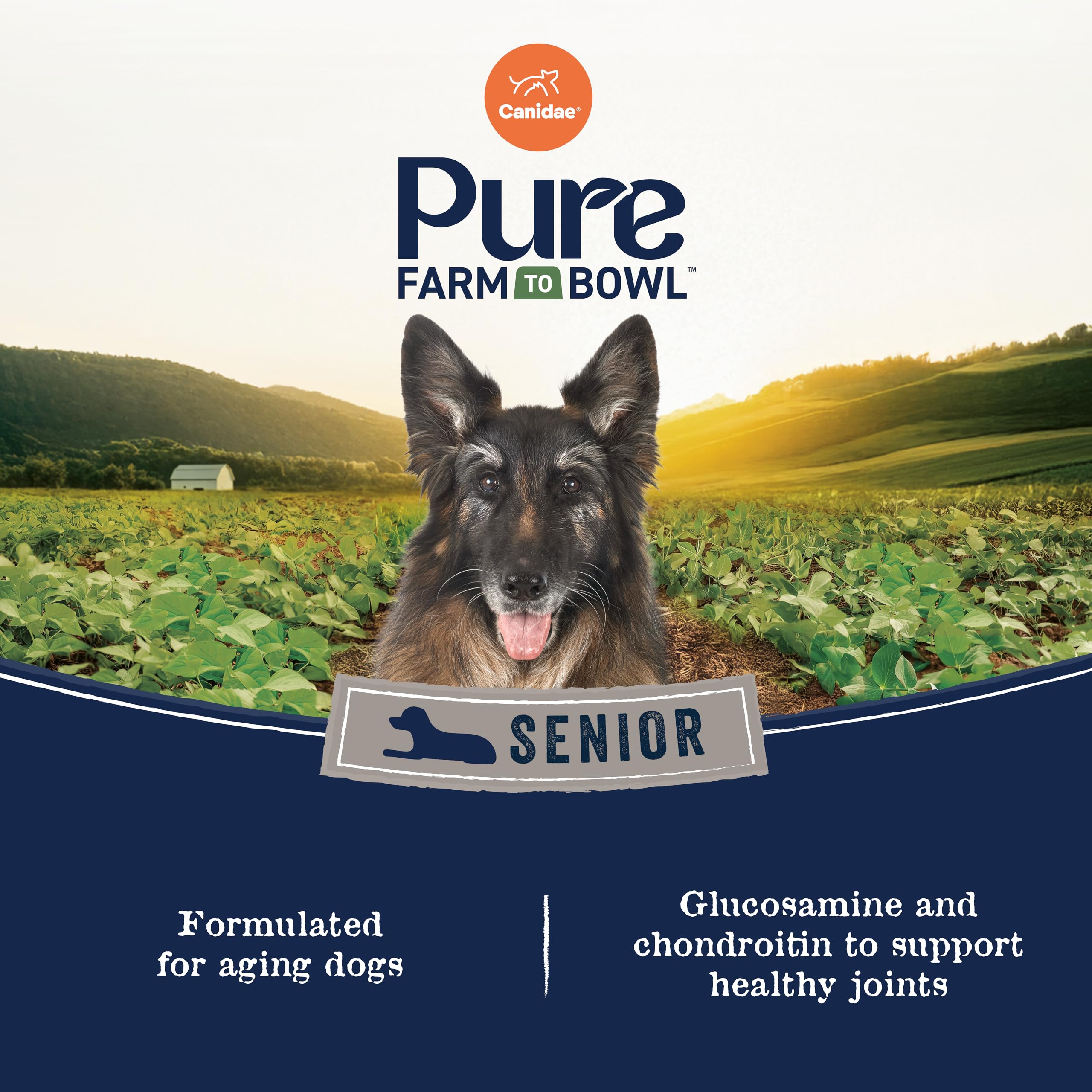 CANIDAE Pure: soutien musculaire pour chien senior grâce au poulet.