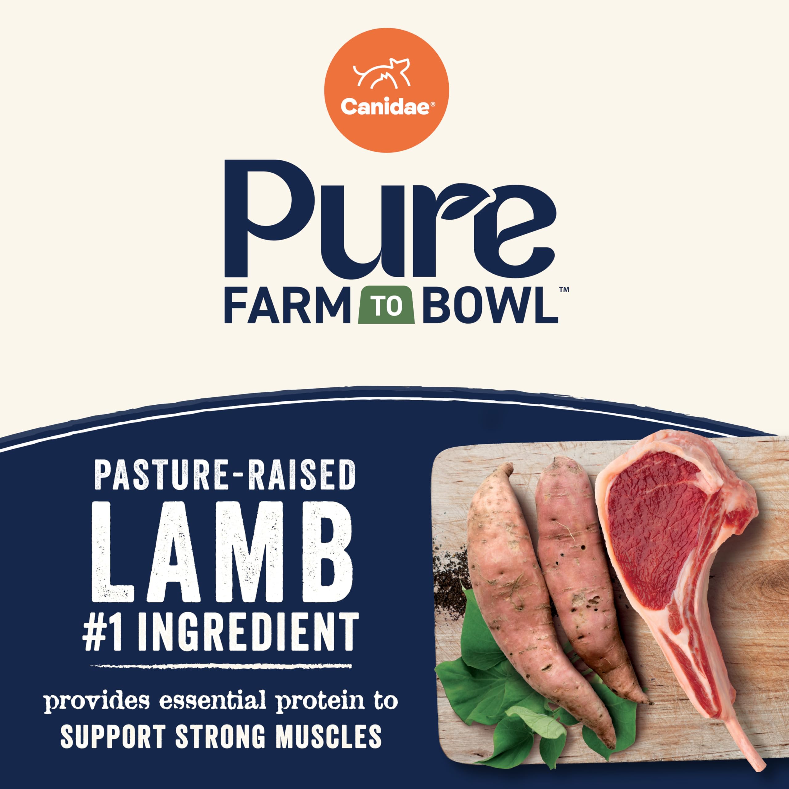 CANIDAE Pure: cuisson en petites series a Brownwood Texas pour qualite constante.