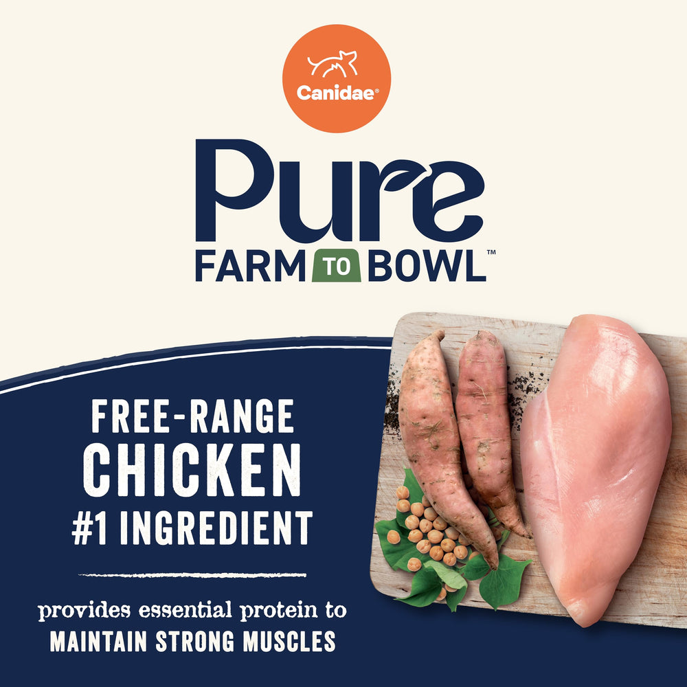 CANIDAE Pure: recette sans céréales et sans maïs ni blé.