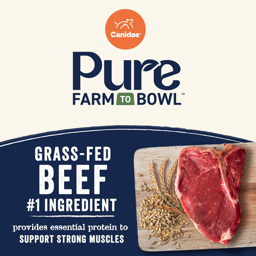 Canidae Pure Farm to Bowl boeuf de qualité issu de fermes régénératives, recette responsable.