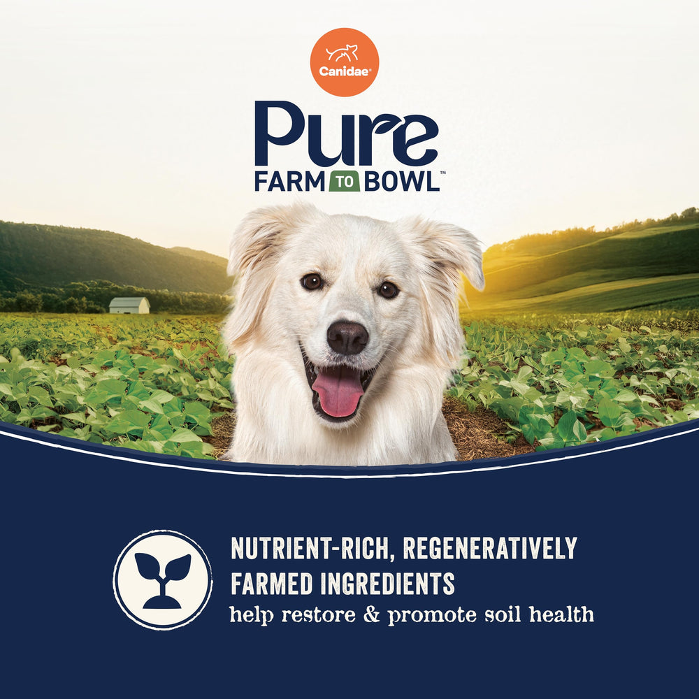 Canidae Pure sans céréales, sans maïs ni blé ni soja pour chien adulte.