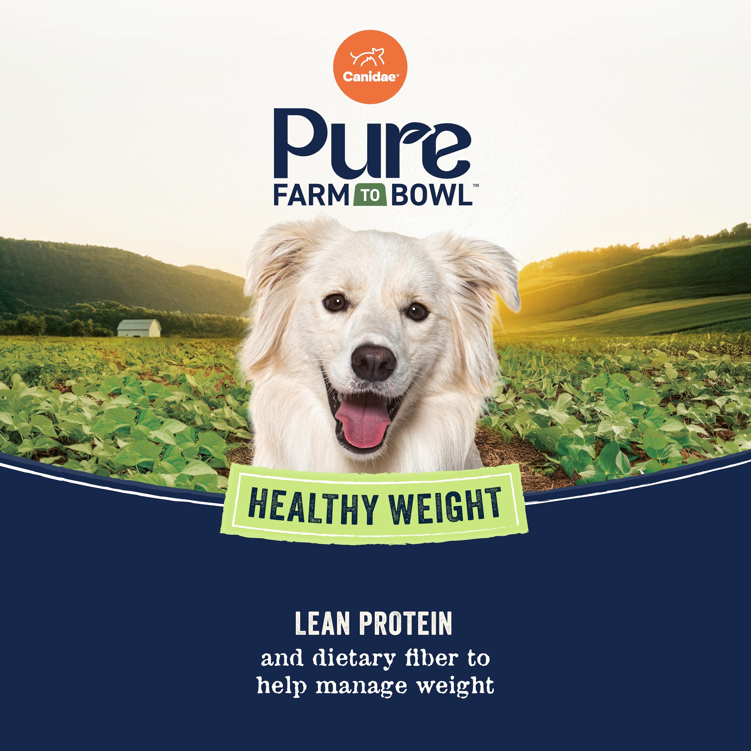 CANIDAE Pure fibre alimentaire, aide à une digestion régulière