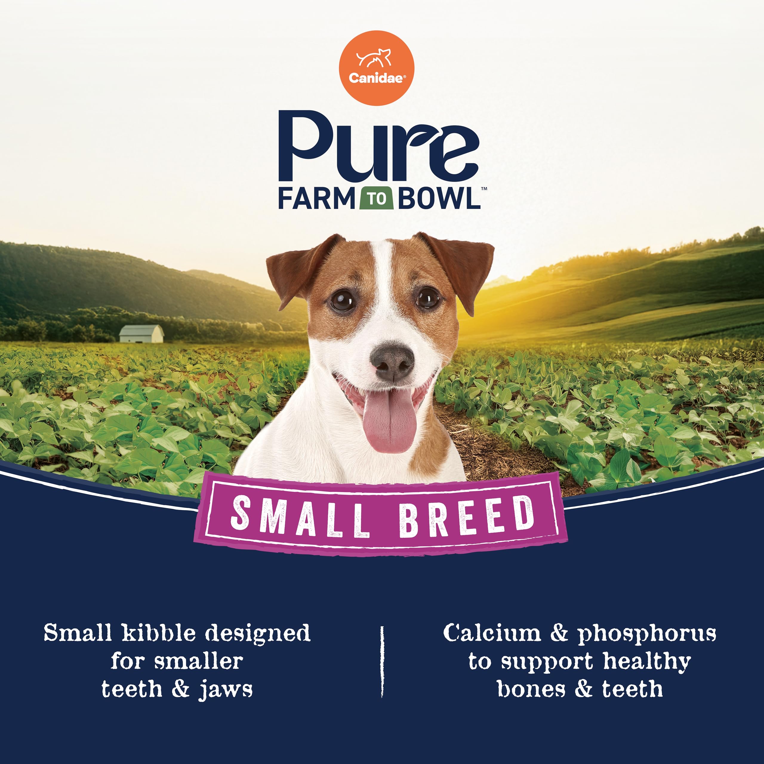 CANIDAE Pure ingrédients regeneratifs des sols pour biodiversité