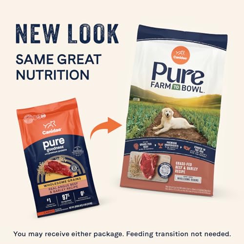  CANIDAE Pure orge régénératif et ferme, croquettes nutritives pour chien adulte.