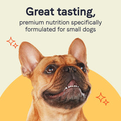Canidae Pure Petite: morceaux canard et citrouille en bouillon, texture variée.