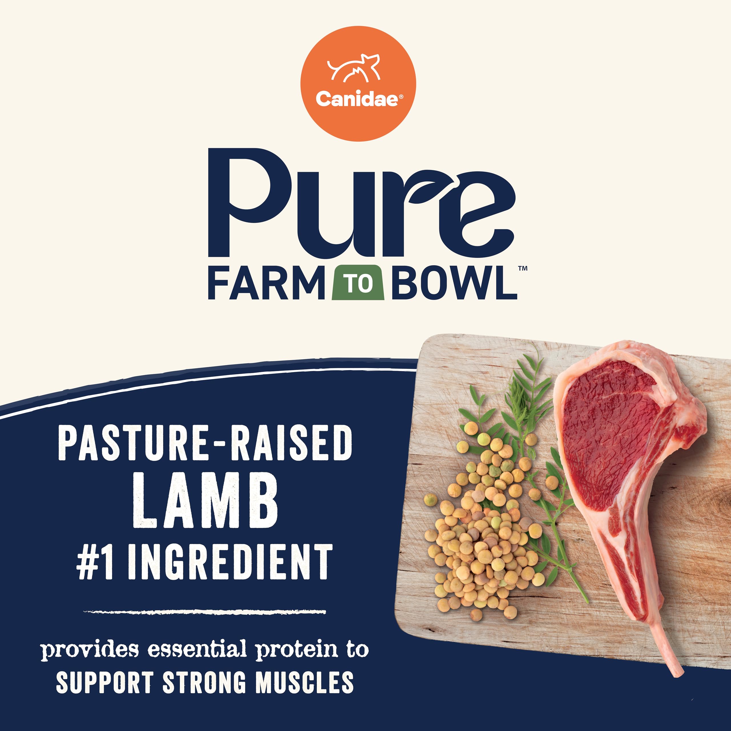 CANIDAE Pure – Croquettes de petite taille adaptées aux petites mâchoires et dents.