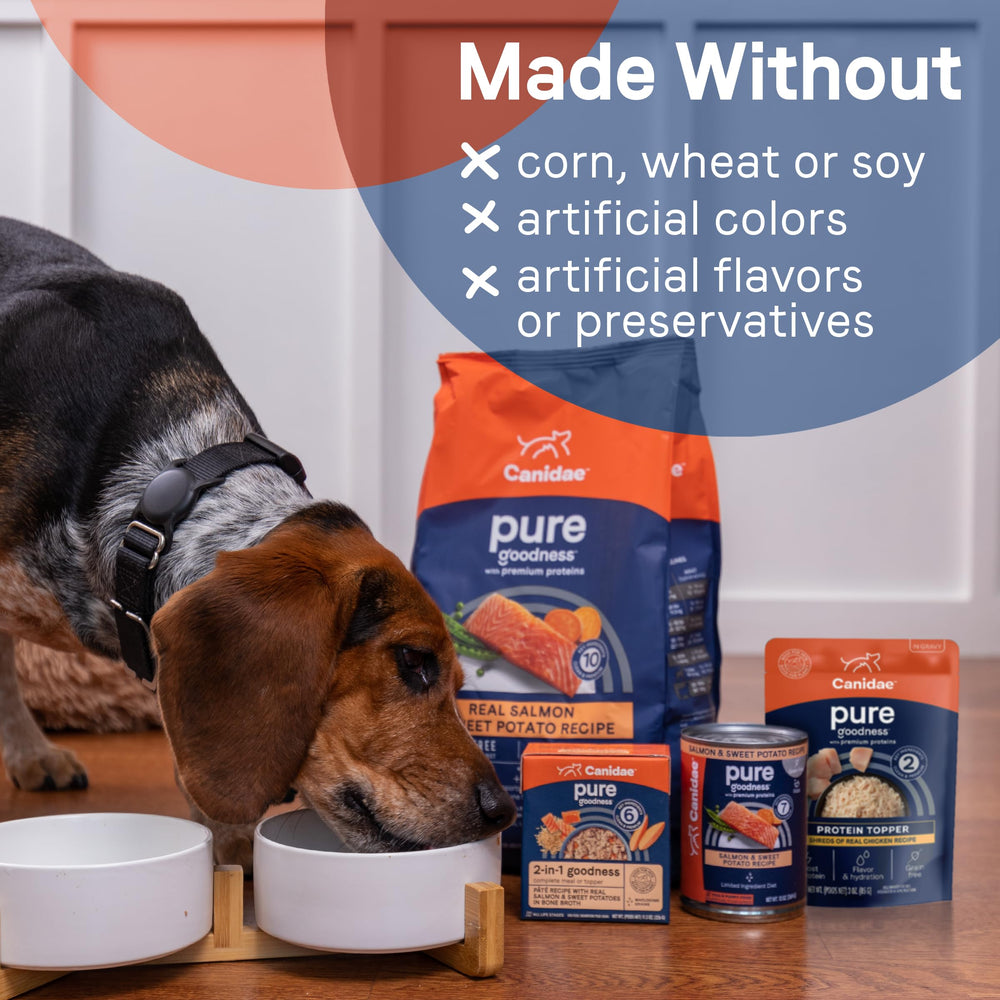 CANIDAE Pure Protein Topper: idéal pour petits chiens, variété de repas et plaisir gustatif.