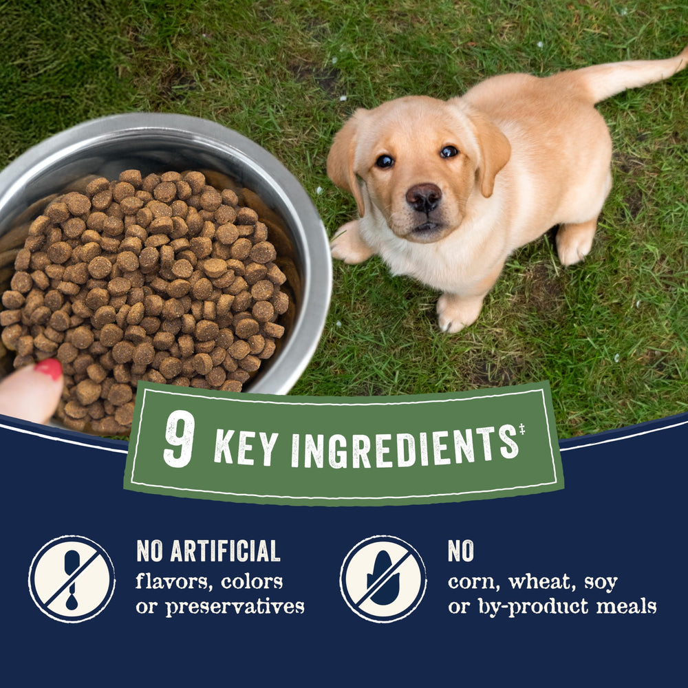 CANIDAE Pure: sans arômes artificiels ni colorants.