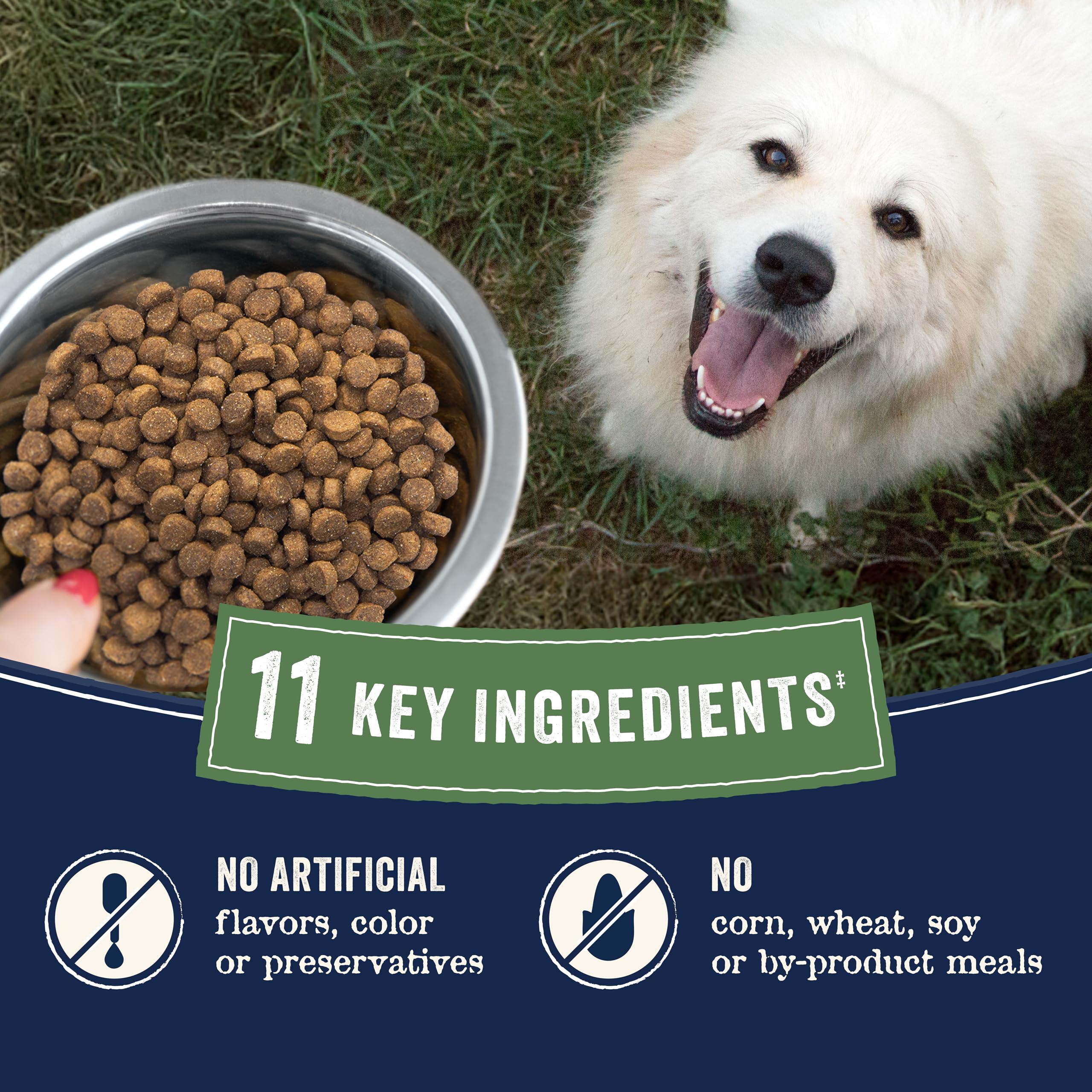 CANIDAE Pure sans colorants ni arômes artificiels