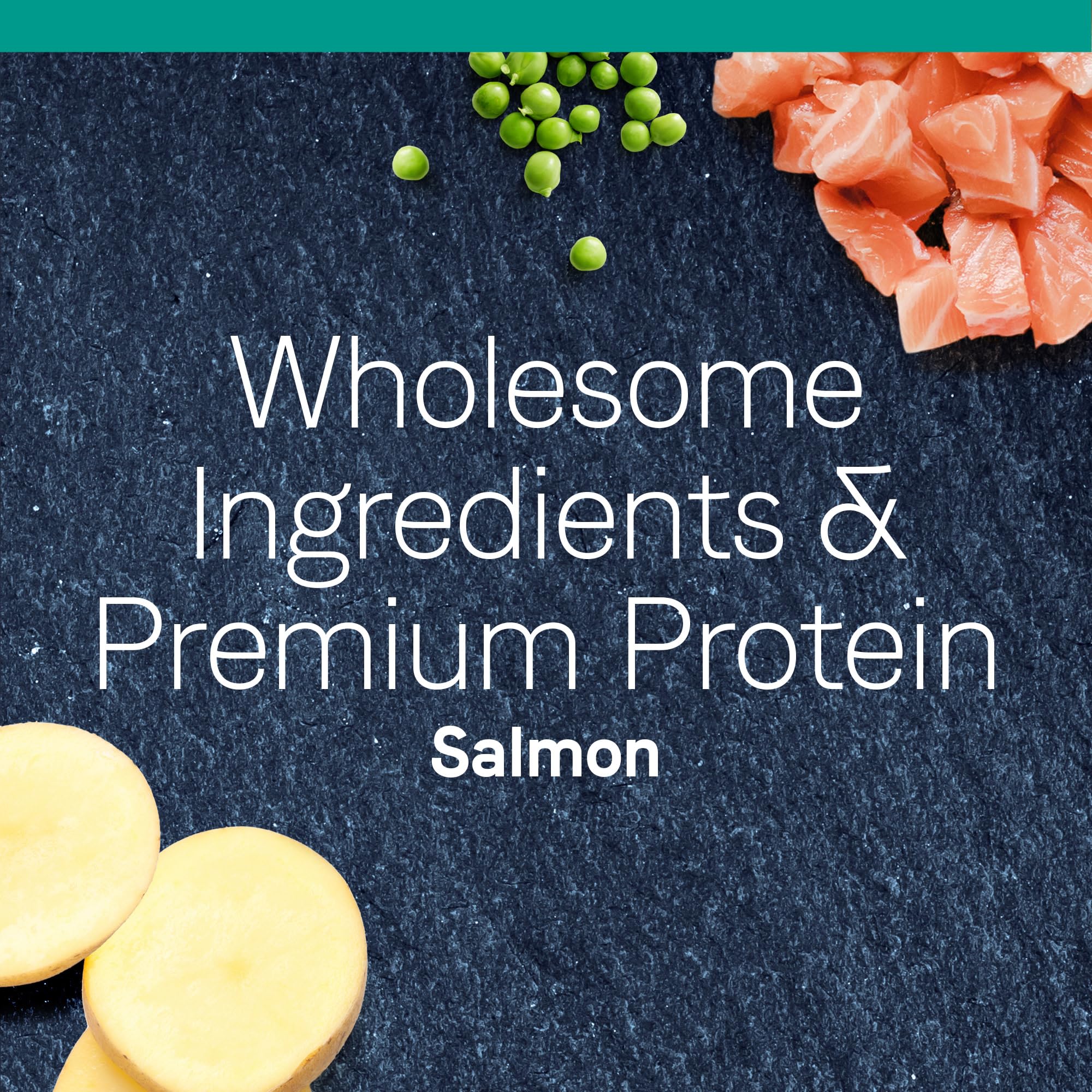 CANIDAE PURE saumon probiotiques et antioxydants : soutien digestif et immunitaire
