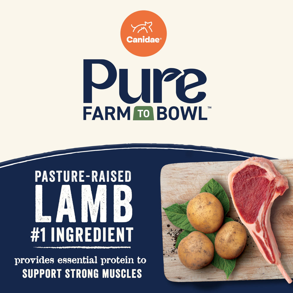 CANIDAE Pure usine Brownwood croquettes préparées en petites fournées