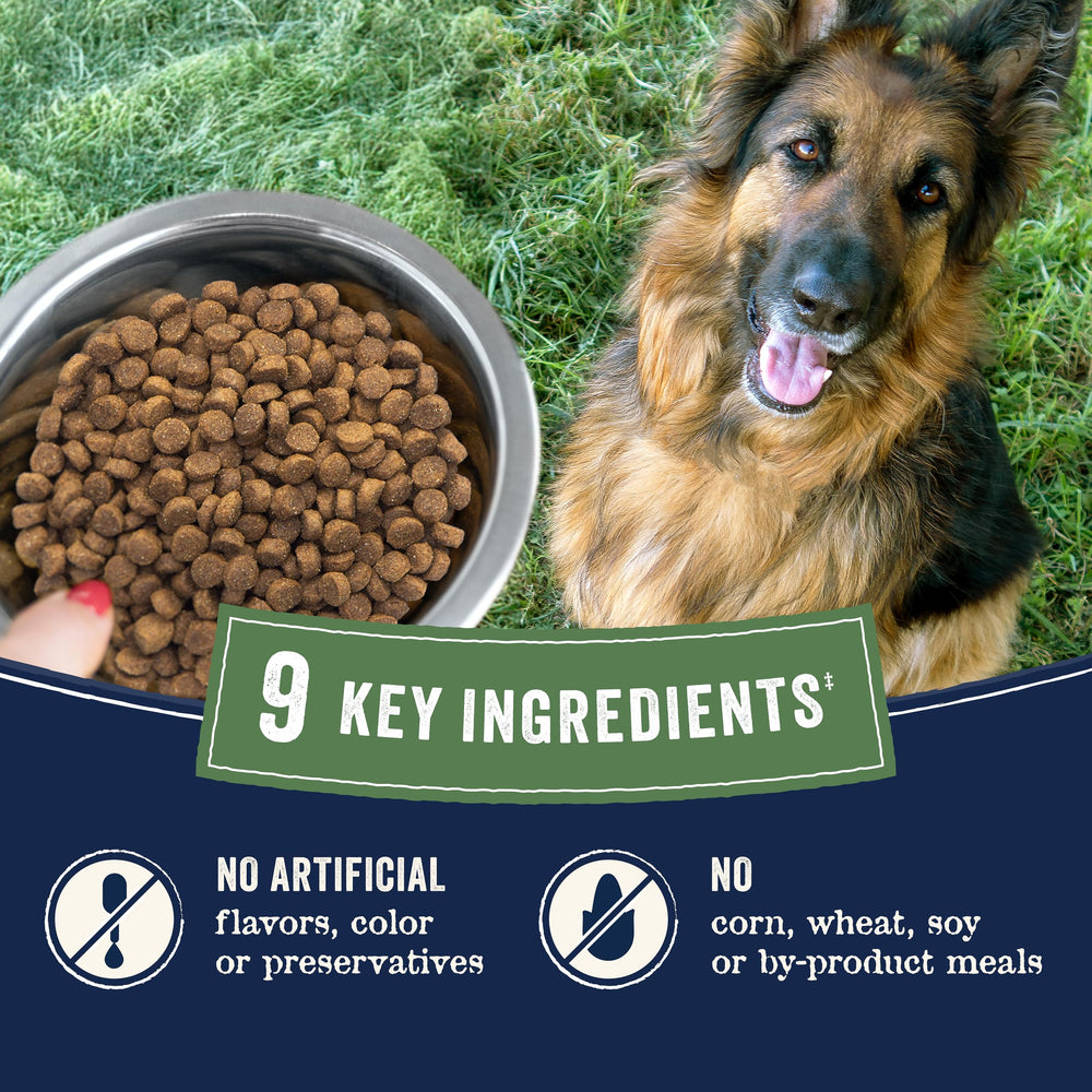 CANIDAE Pure: tests de sécurité et pureté sur chaque lot.