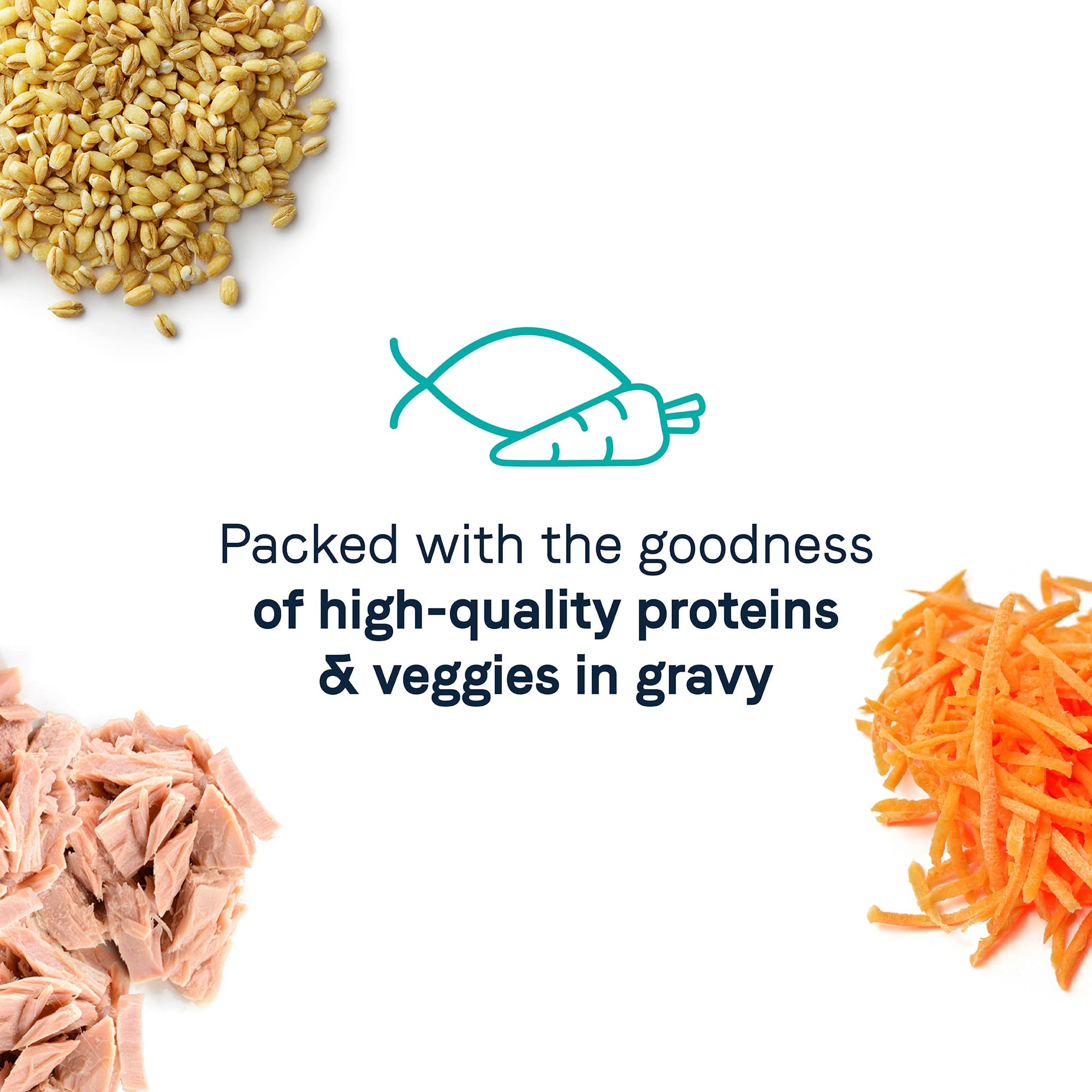 CANIDAE recette thon carottes sauce veloutée goût apprécié des chats
