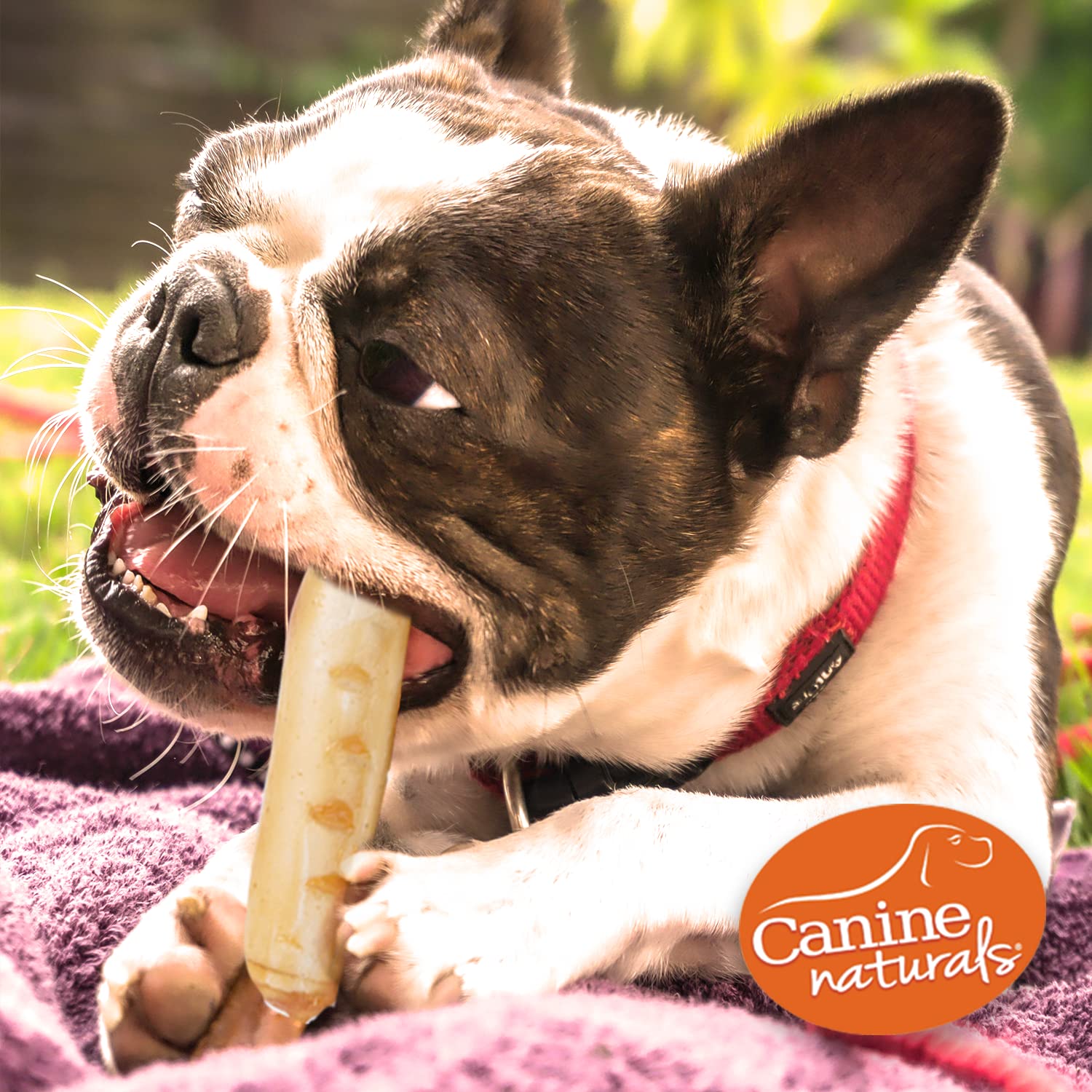 Canin Naturels — sans gluten, ingrédients naturels et simples.