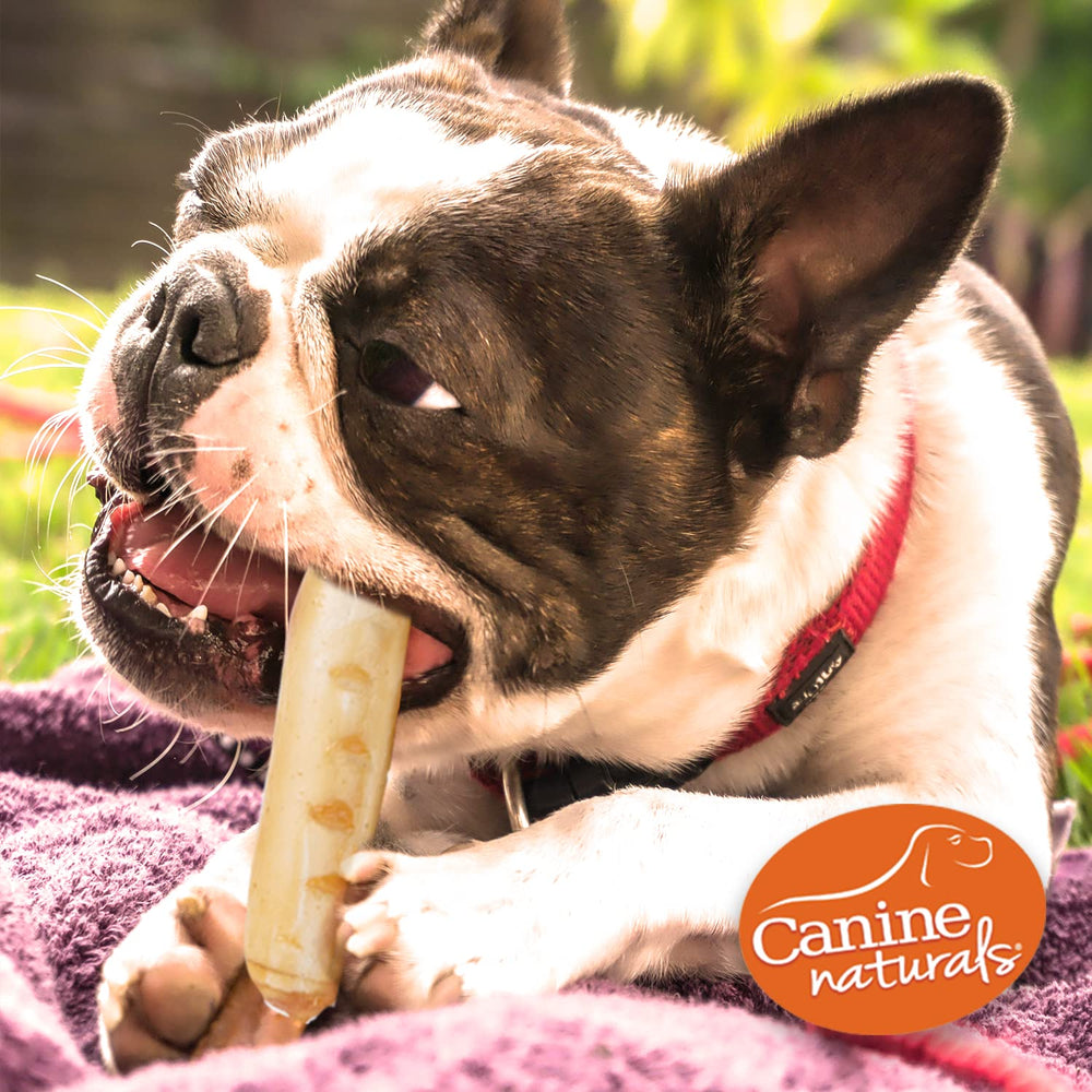 Canin Naturels — sans gluten, ingrédients naturels et simples.