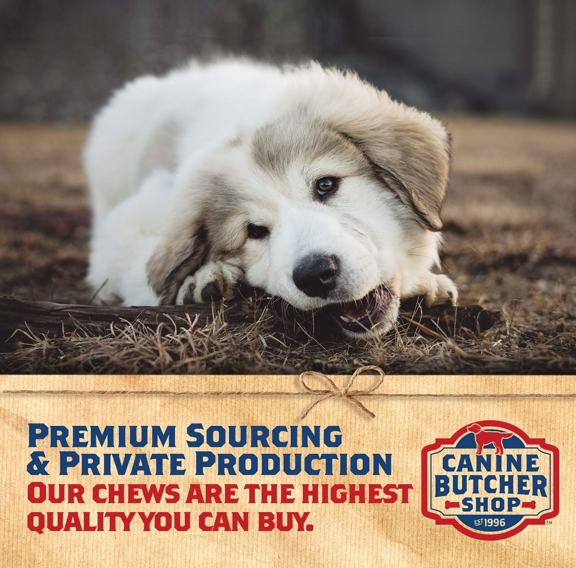 Canine Butcher Shop convient à tous les âges et tailles de chiens.