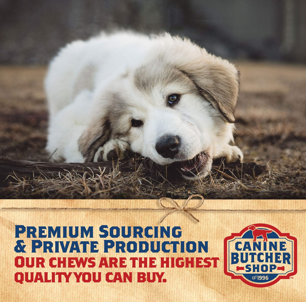 Canine Butcher Shop entreprise indépendante près de Chicago depuis 20 ans