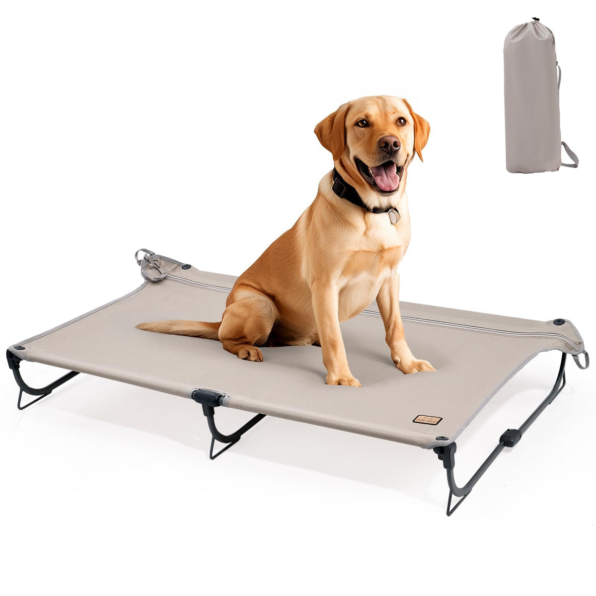 CANINE CANYON Daisy Cot pliable, transport facile pour camping et voyages.