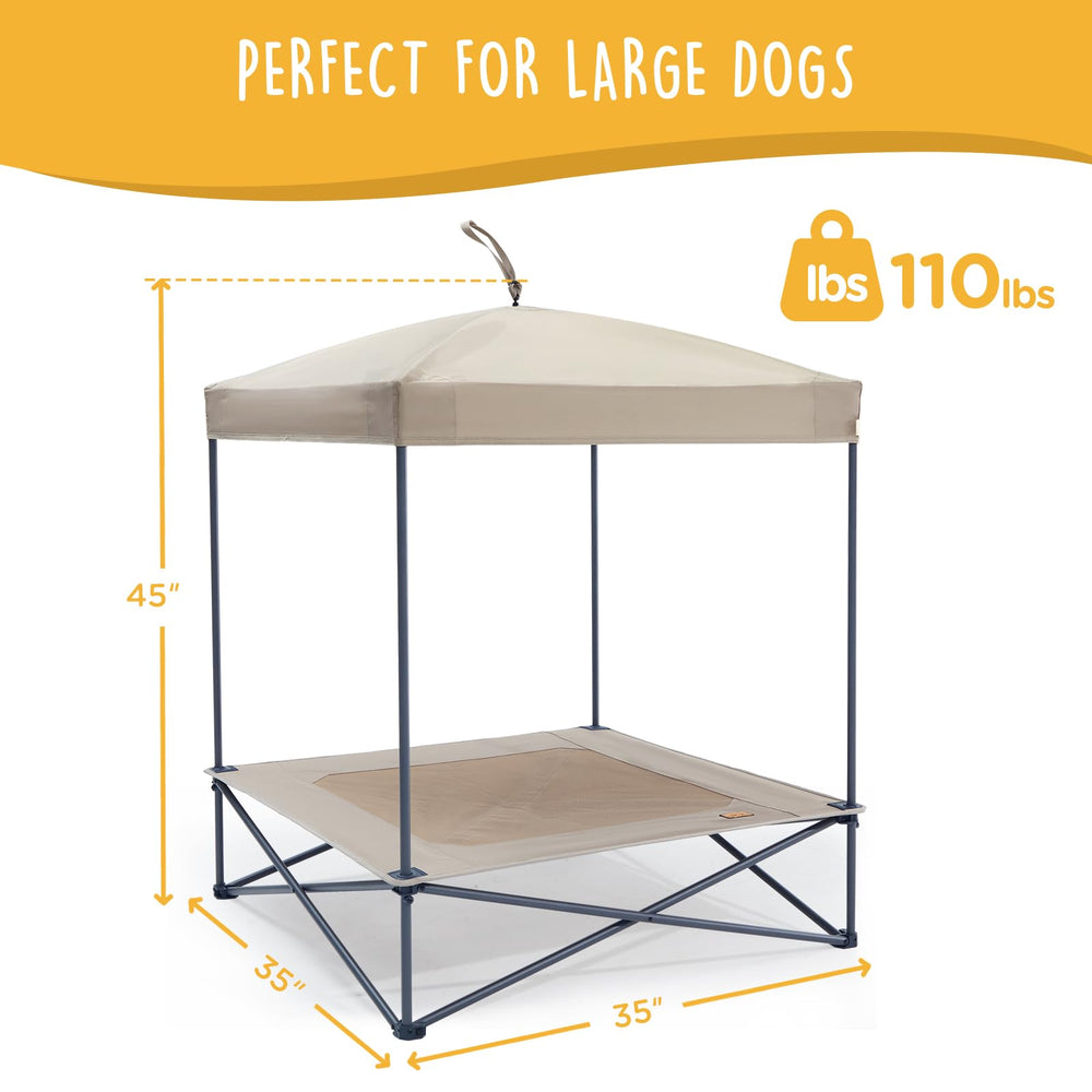 CANINE CANYON Piper Pop-Up chien confortablement installé sur le lit surélevé